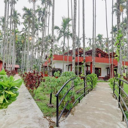 ماديكيري Ezzenza Areca Resort المظهر الخارجي الصورة
