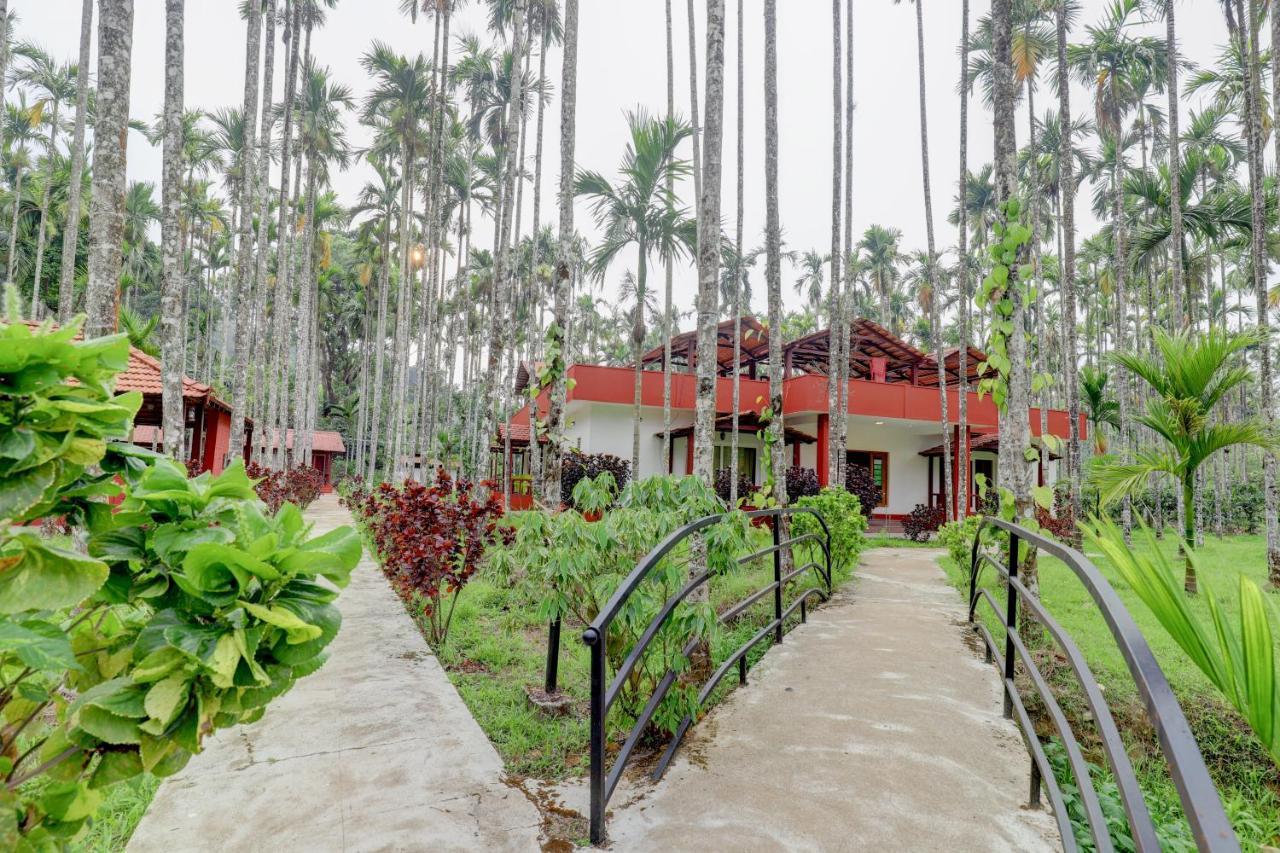 ماديكيري Ezzenza Areca Resort المظهر الخارجي الصورة