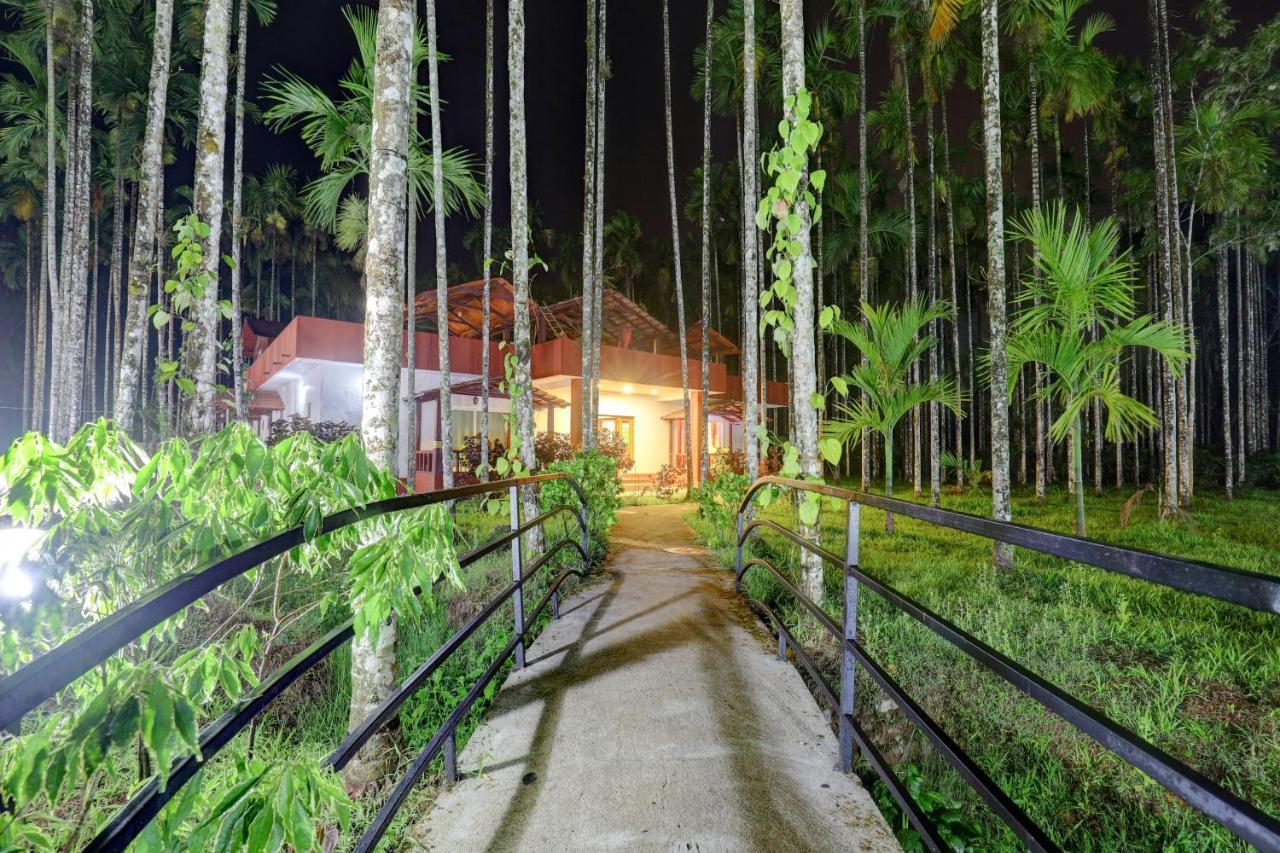 ماديكيري Ezzenza Areca Resort المظهر الخارجي الصورة
